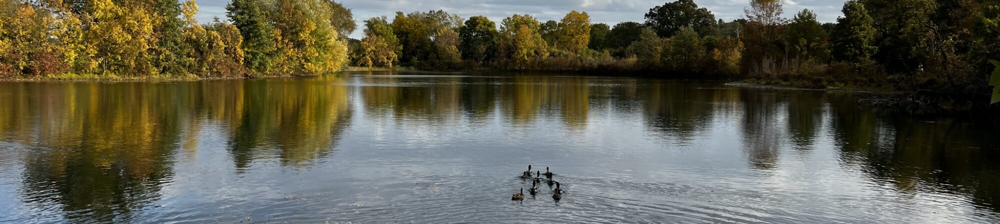 Get your ducks in a row